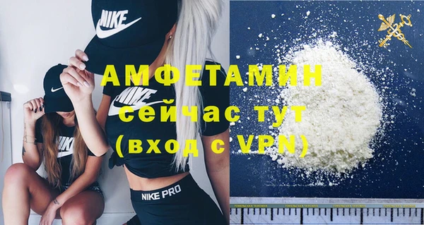 дживик Няндома