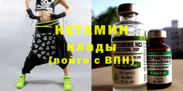 дживик Няндома